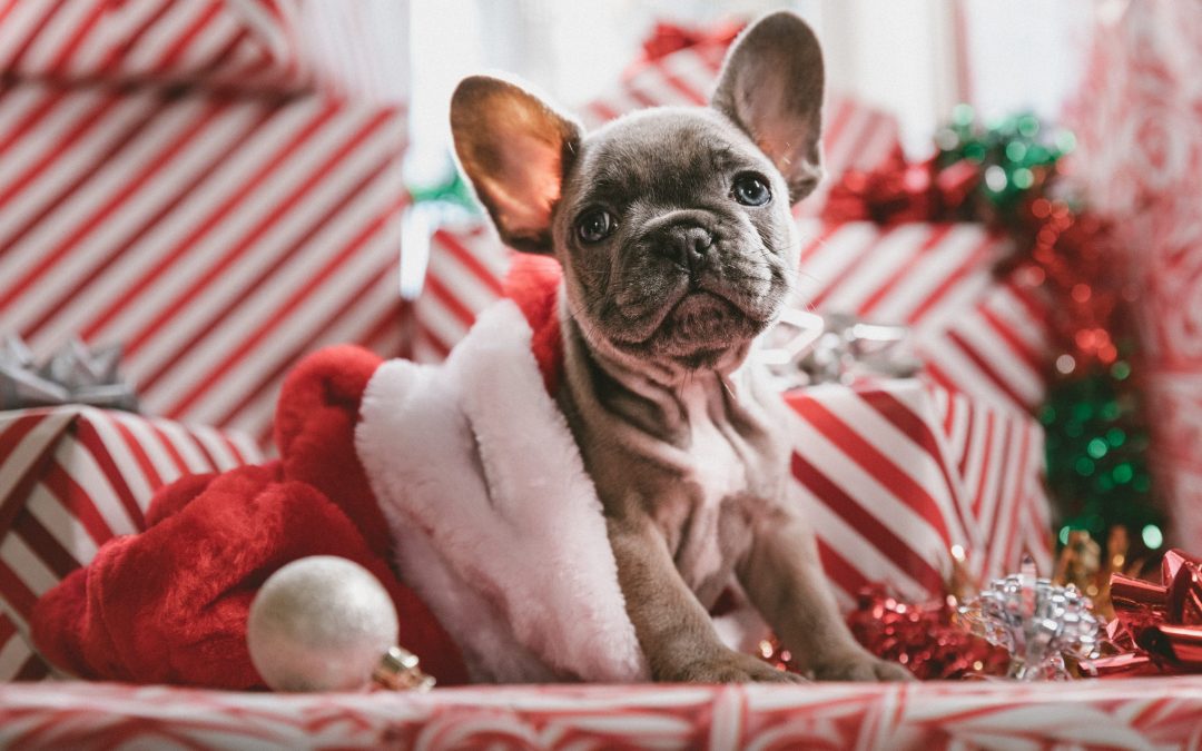 What you need to know if you are planning a property purchase before Christmas